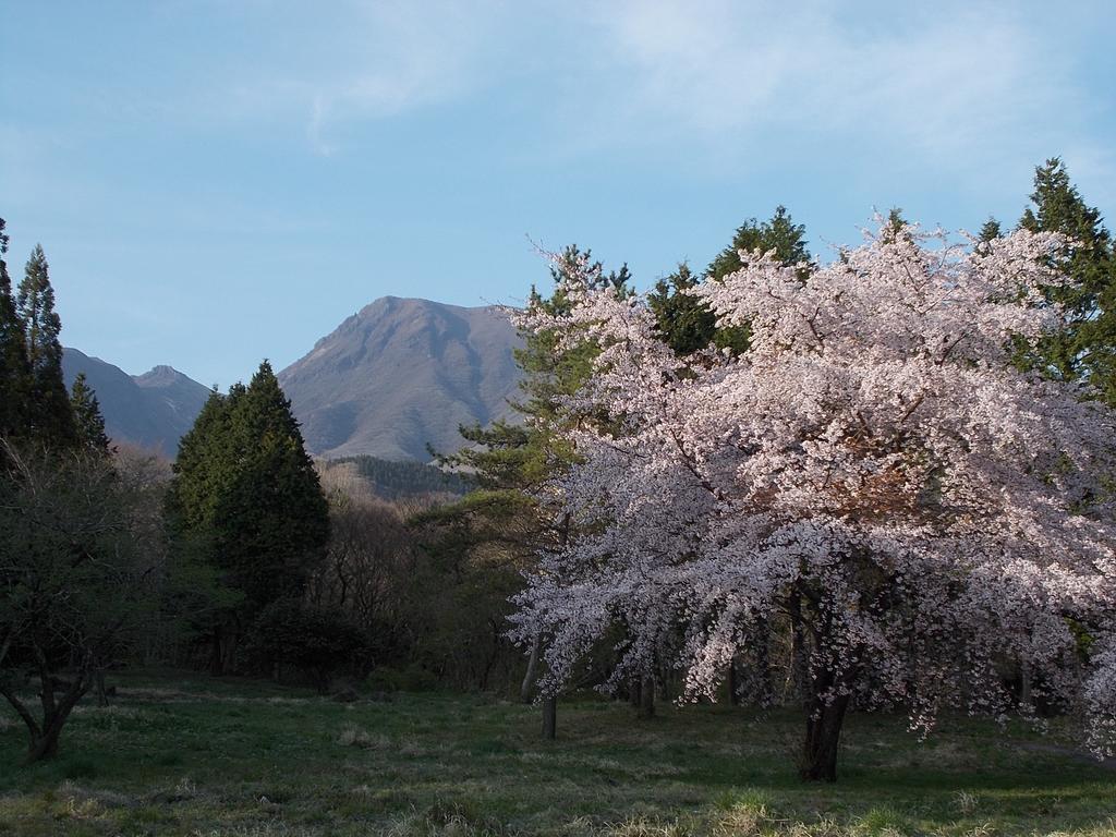 Kuju Kogen Hotel Taketa Bagian luar foto